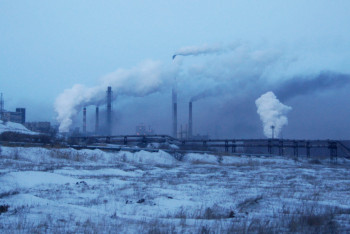 После "чёрного снега" в Темиртау власти решили озеленить город