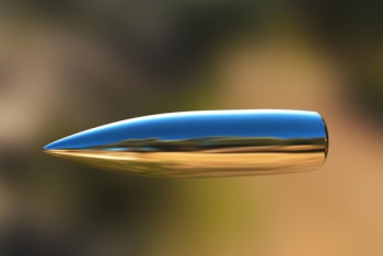 Фотография к новости: Дело Токмади: могла ли винтовка Татишева выстрелить самопроизвольно, выясняют эксперты