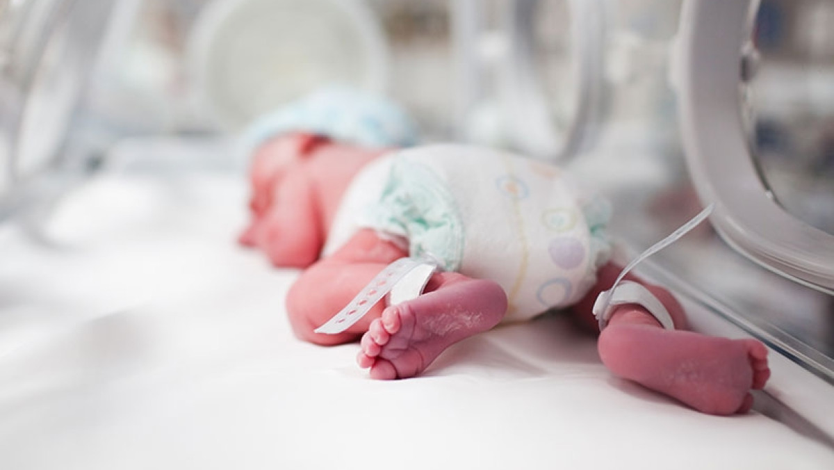 Иллюстративное фото 