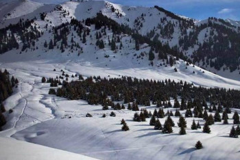 Фотография к новости: Если горожане не поддержат "Кок-Жайлау", то проекта не будет – Байбек