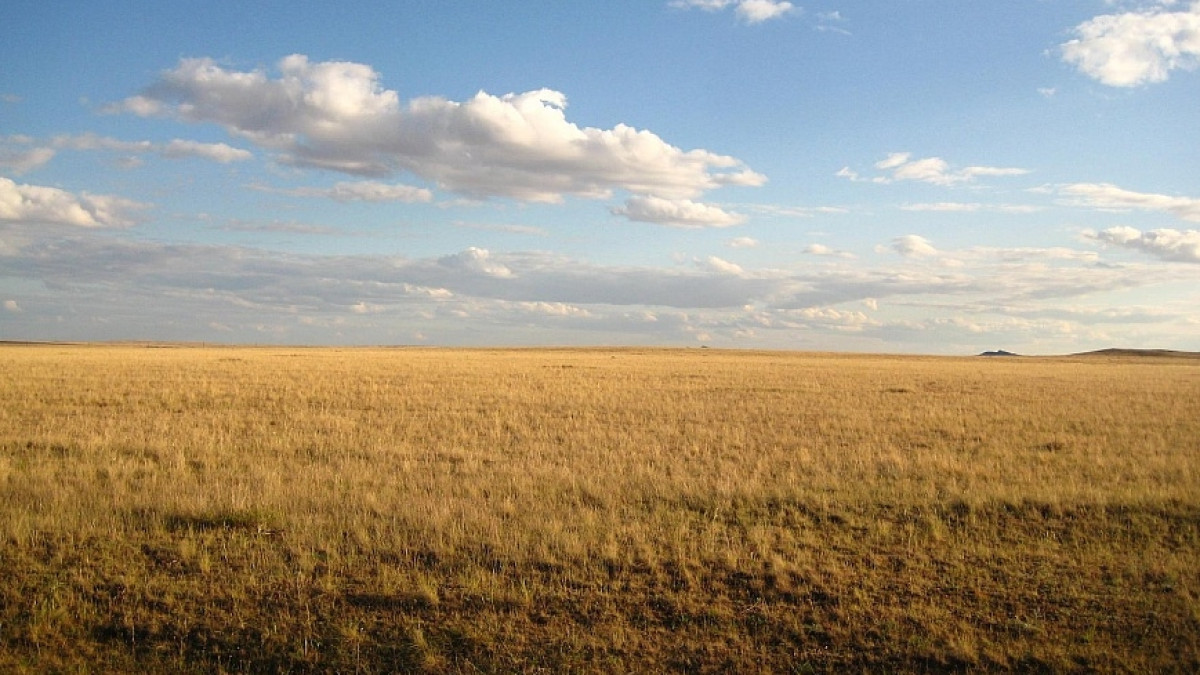 из открытых источников