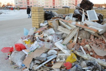 Свыше 1,2 млн тенге выплатили водители за загрязнение Астаны