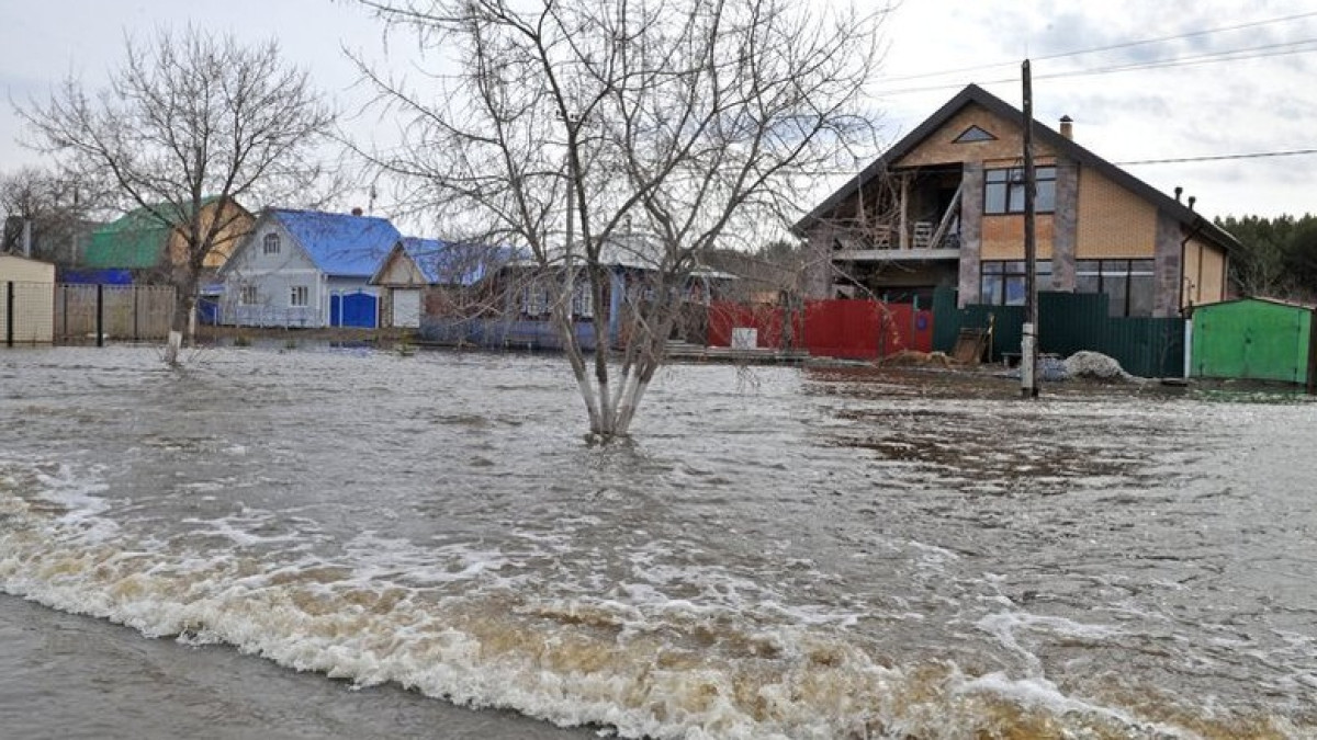 Из открытых источников