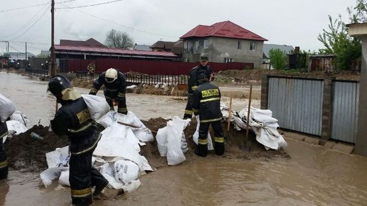 Из открытого источника 