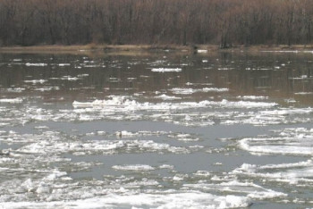 Фотография к новости: Паводки ожидаются в ЮКО