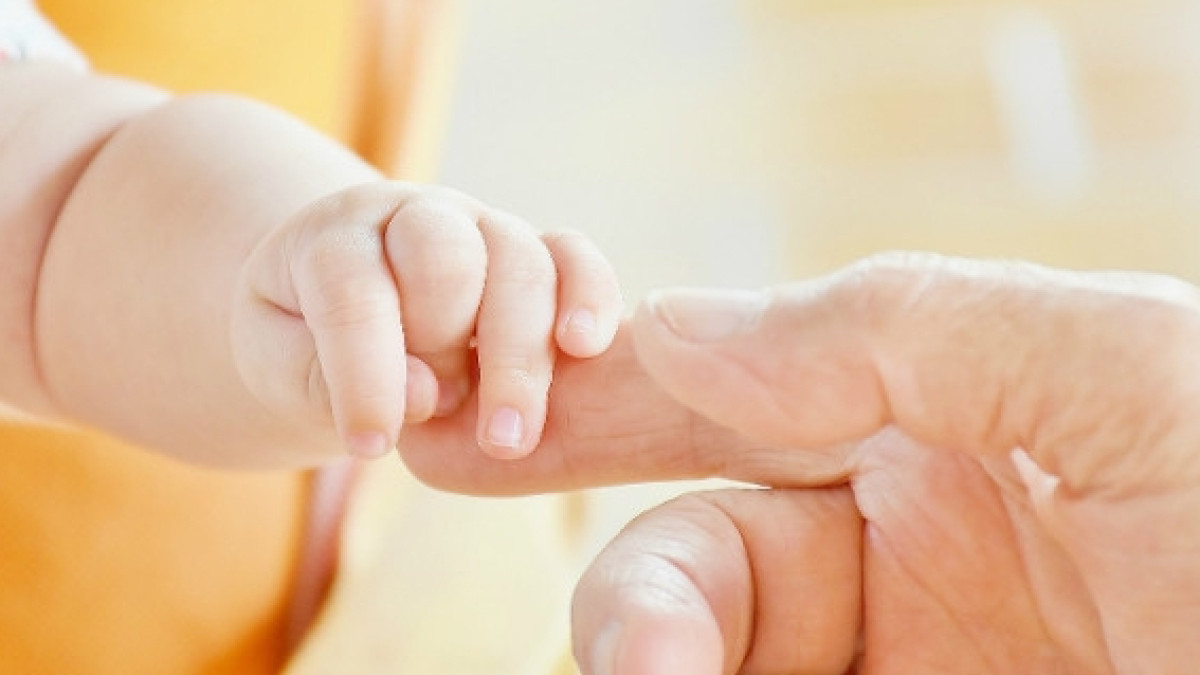 Из открытых источников