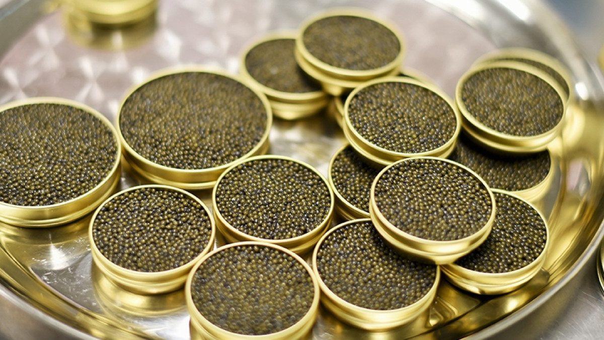 Из открытого источника 