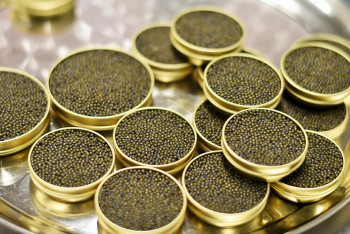 Фотография к новости: С двумя килограммами черной икры задержана женщина в Атырауской области 