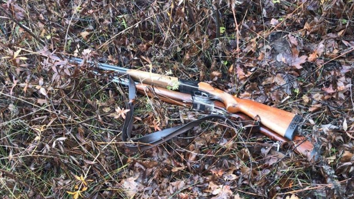 из открытых источников