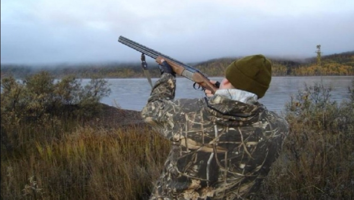 из открытых источников