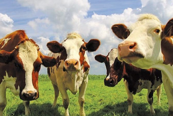 Фотография к новости: Чиновники опровергли информацию о карантине в Актюбинской области