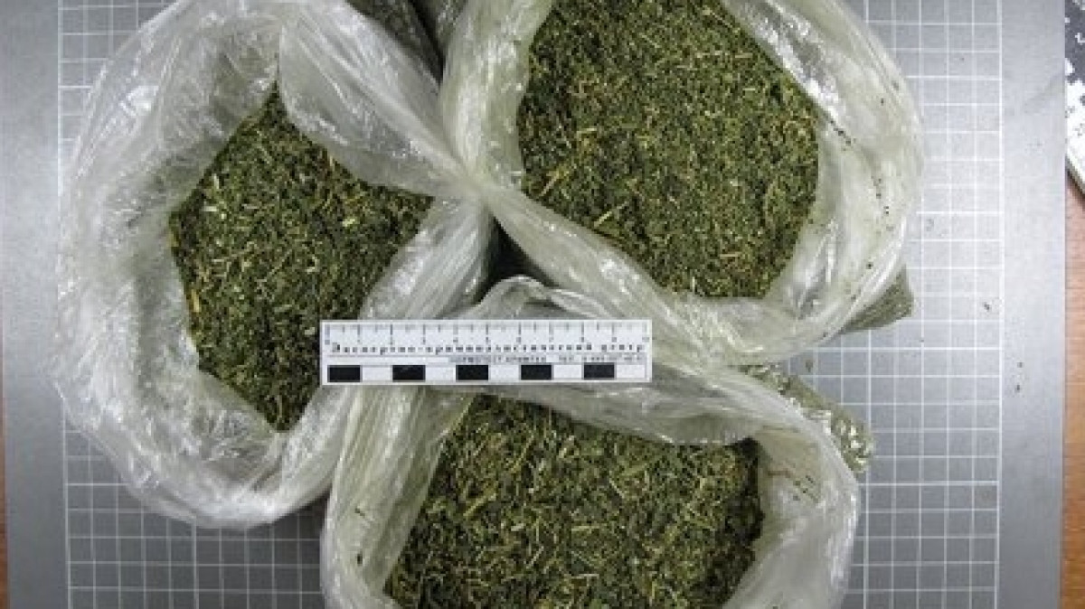 Из открытого источника 