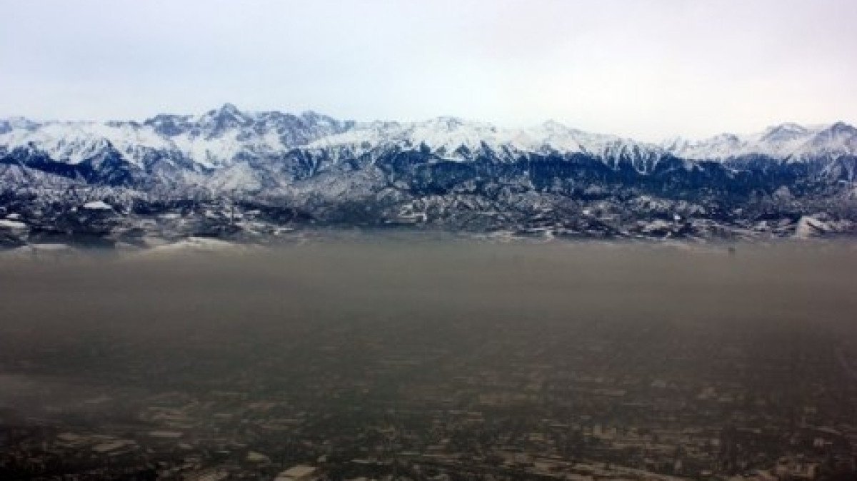 Из открытых источников