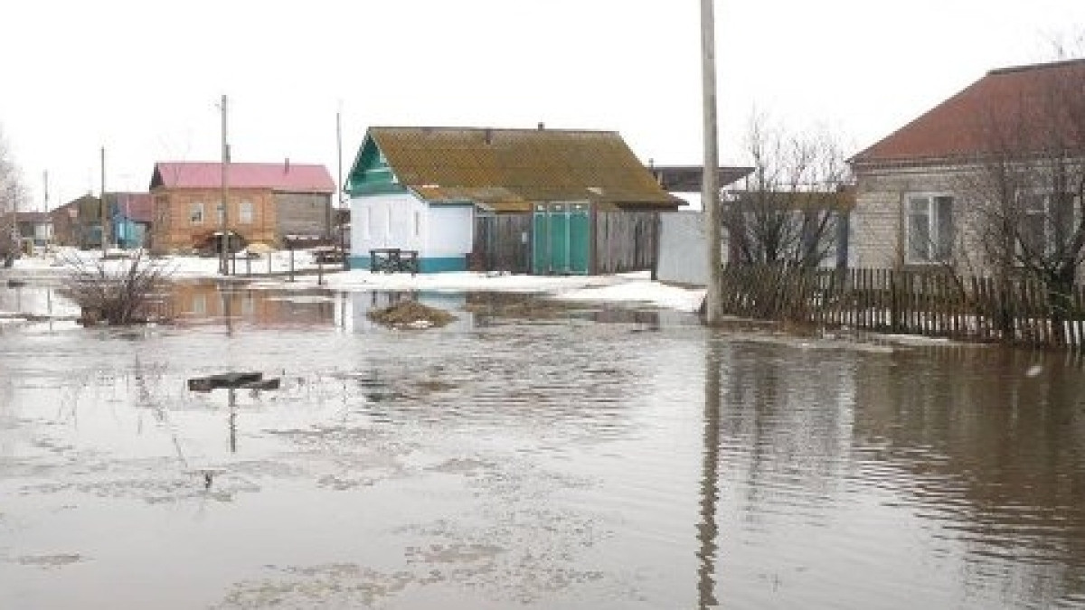 открытые источники