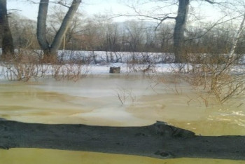 Ввести режим ЧС просят жители одного из районов ВКО