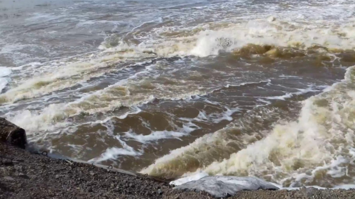 открытые источники