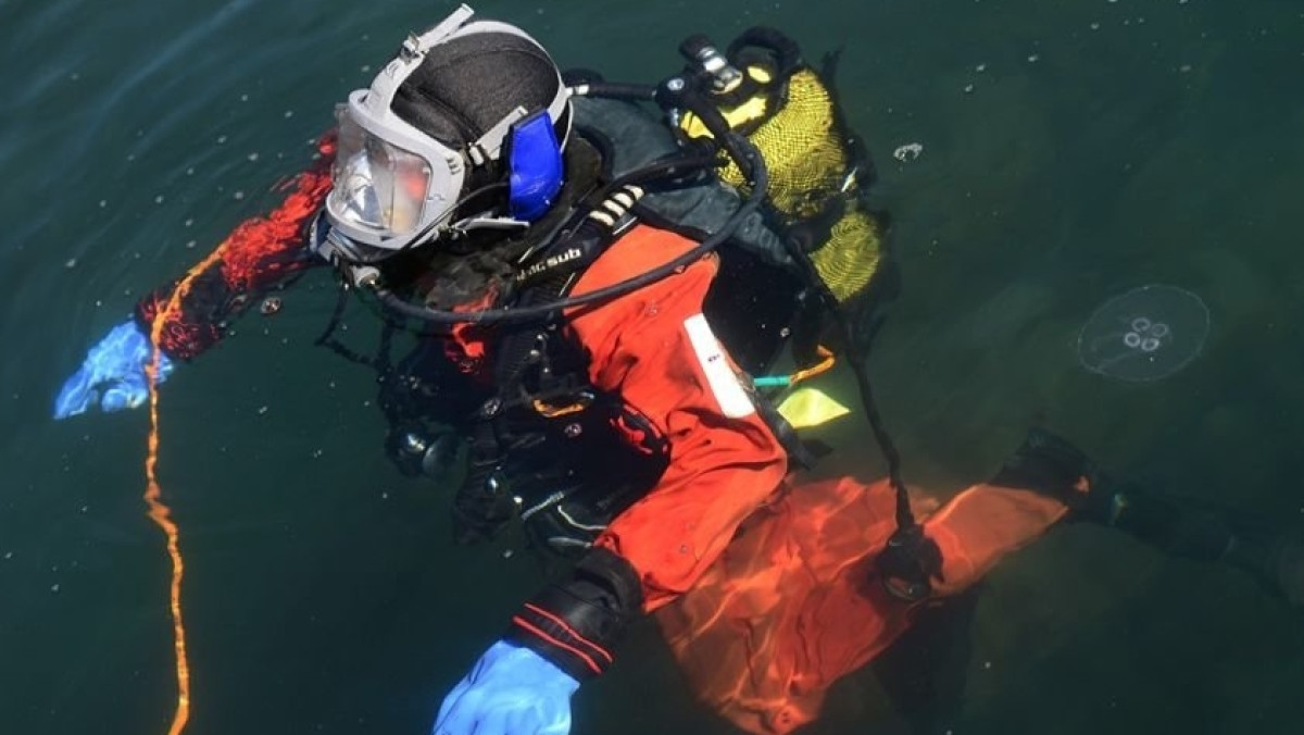 Из открытого источника 