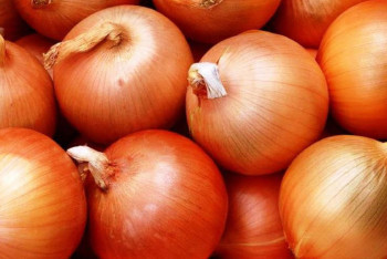 Фотография к новости: Казахстанский лук не прошел фитосанитарный контроль на российской границе  