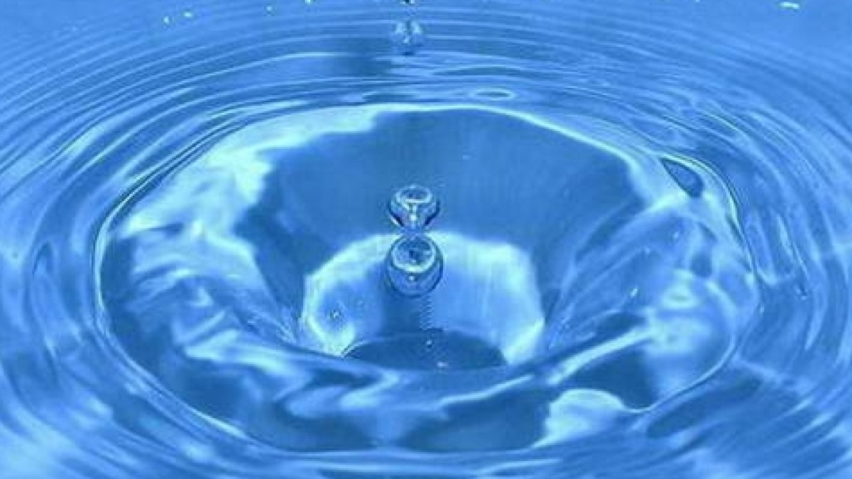 Из открытого источника 