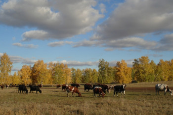 Фотография к новости: Потребность казахстанцев в пастбищах и земле под ИЖС отнесут к госнужде