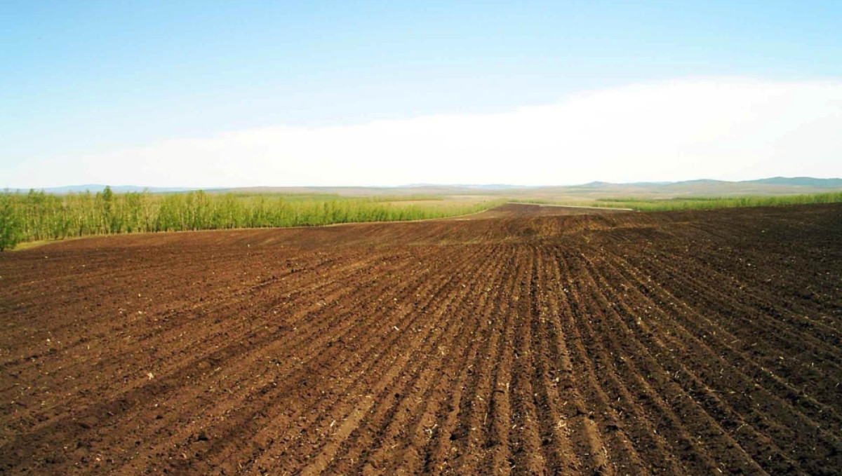 из открытых источников