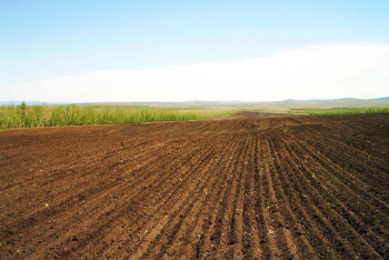 Фотография к новости: Как будут выдавать в аренду земли, рассказали в Минсельхозе