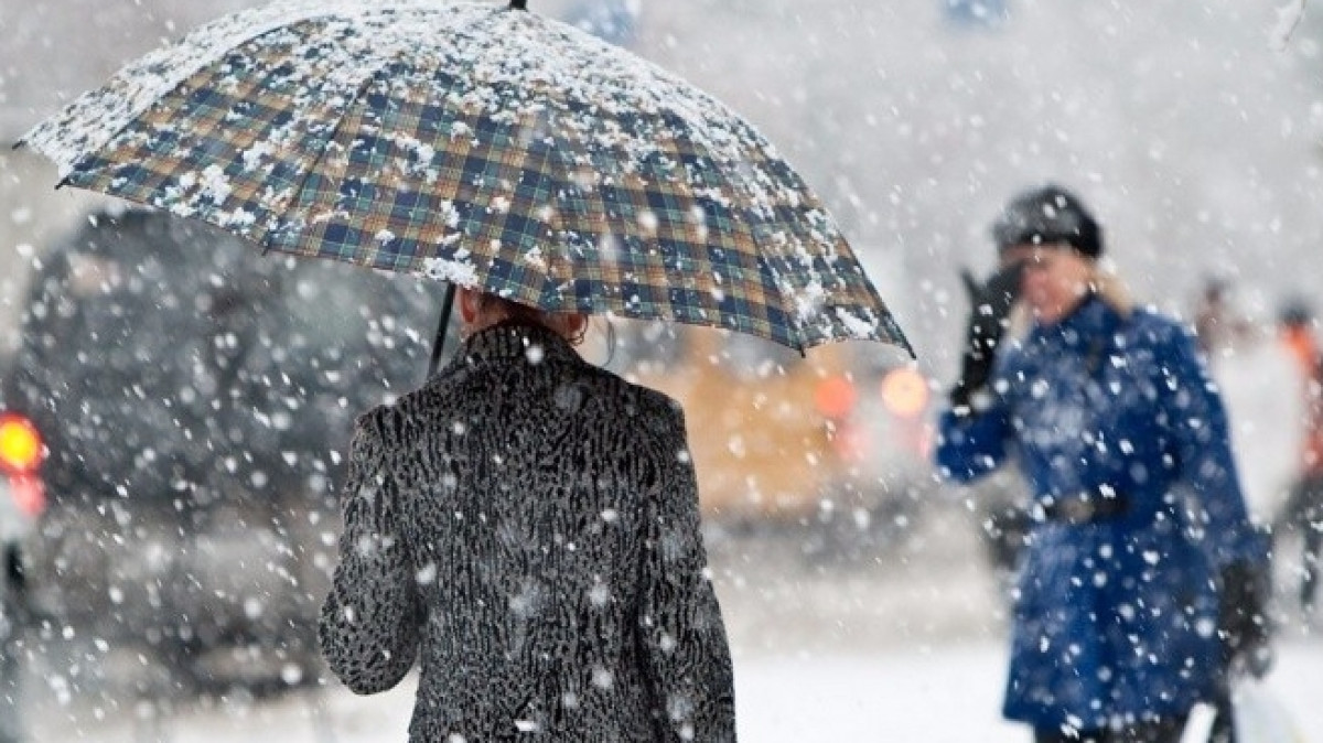 из открытых источников