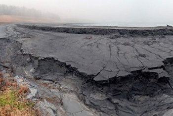 Фотография к новости: Кызылординский золоотвал в 42 га может достаться китайцам бесплатно