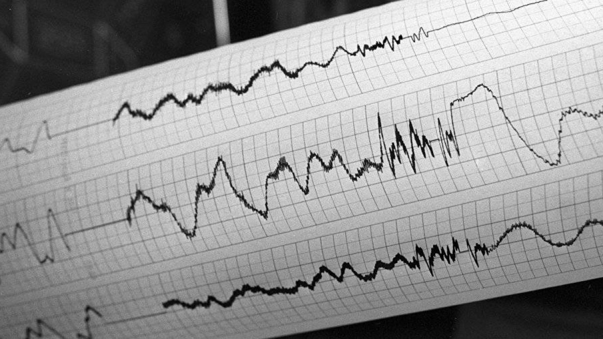 Землетрясение почувствовали жители Алматы