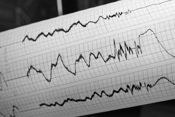 Землетрясение почувствовали жители Алматы