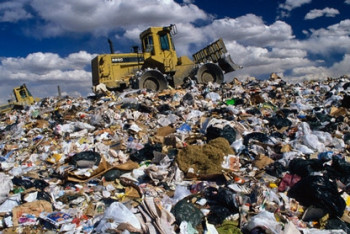 Изменить систему управления отходами в столице предложили в минэнерго 