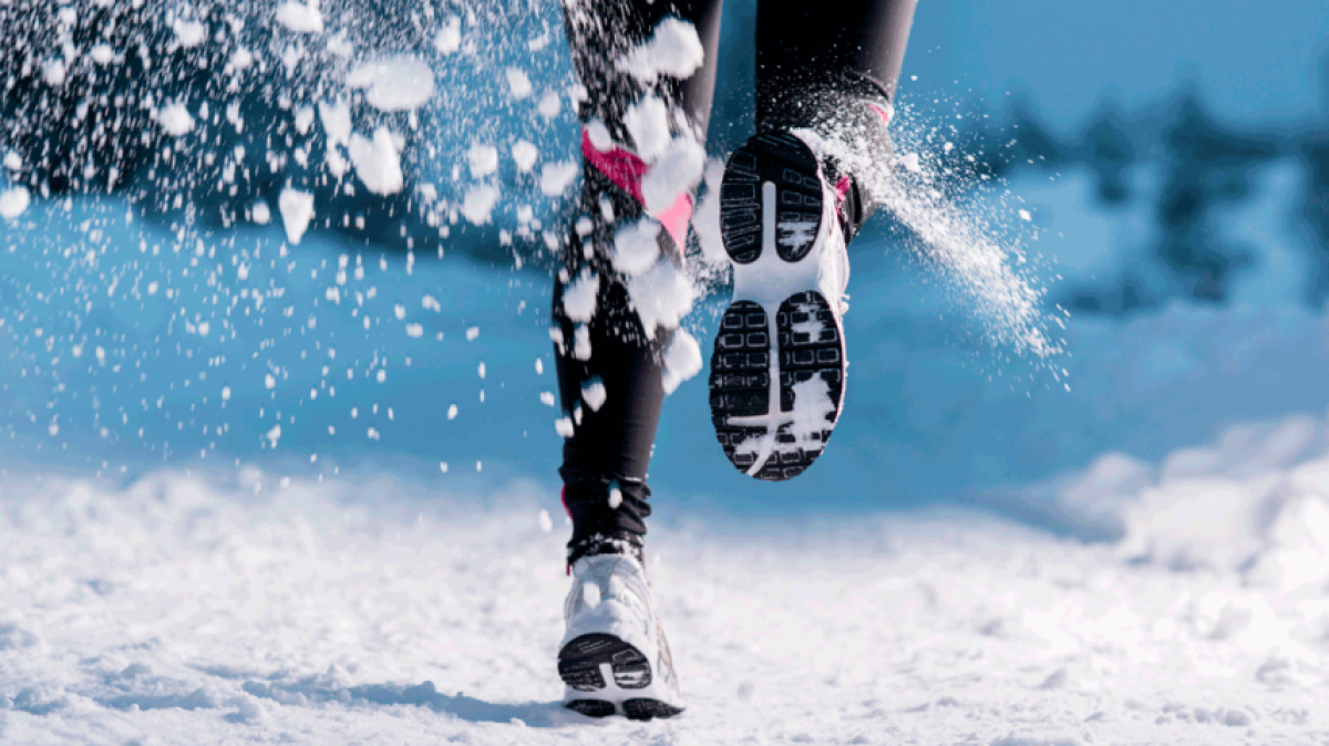 открытые источники