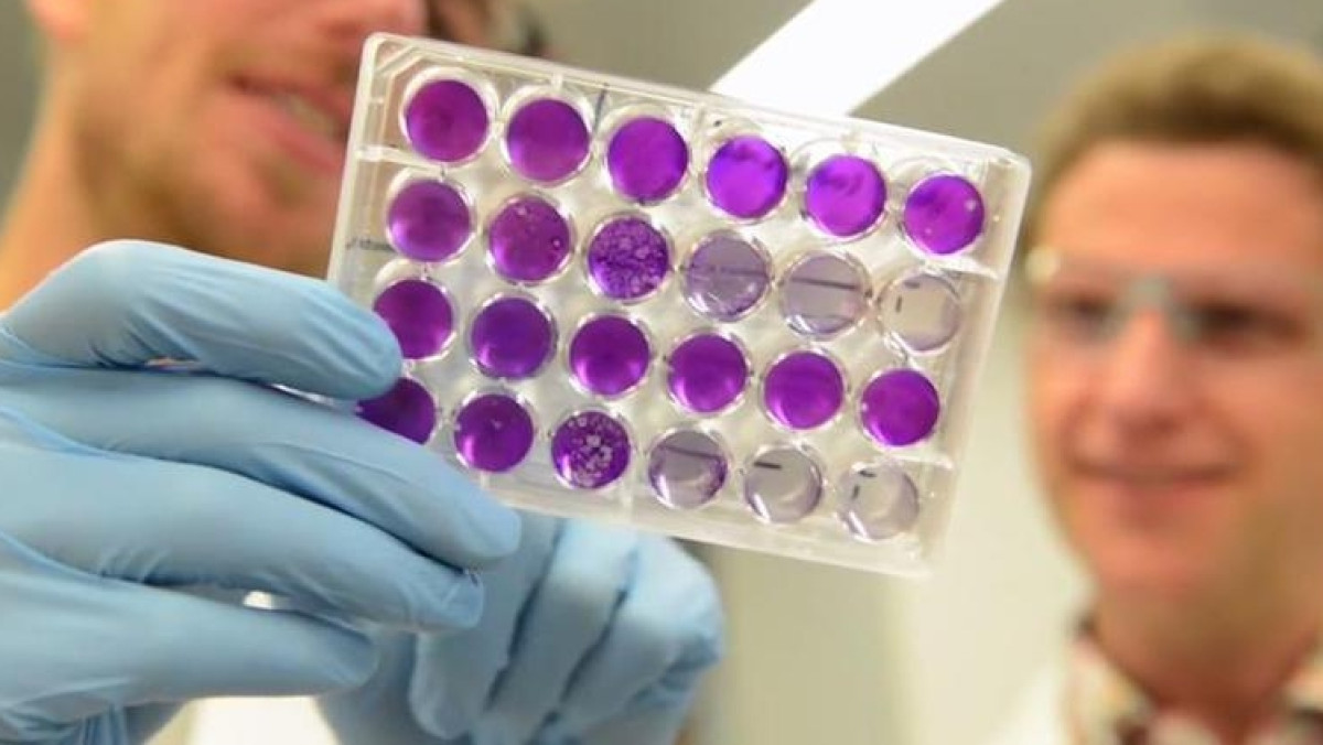 Из открытых источников