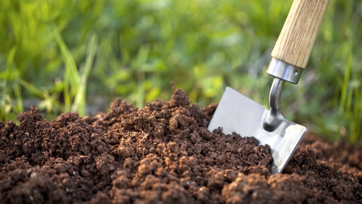 Из открытого источника 