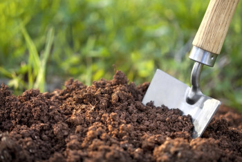 Фотография к новости: Информация о состоянии казахстанских земель появится в открытом доступе 