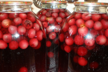 Фотография к новости: Домашний компот стал источником распространения гепатита А среди школьников Караганды 