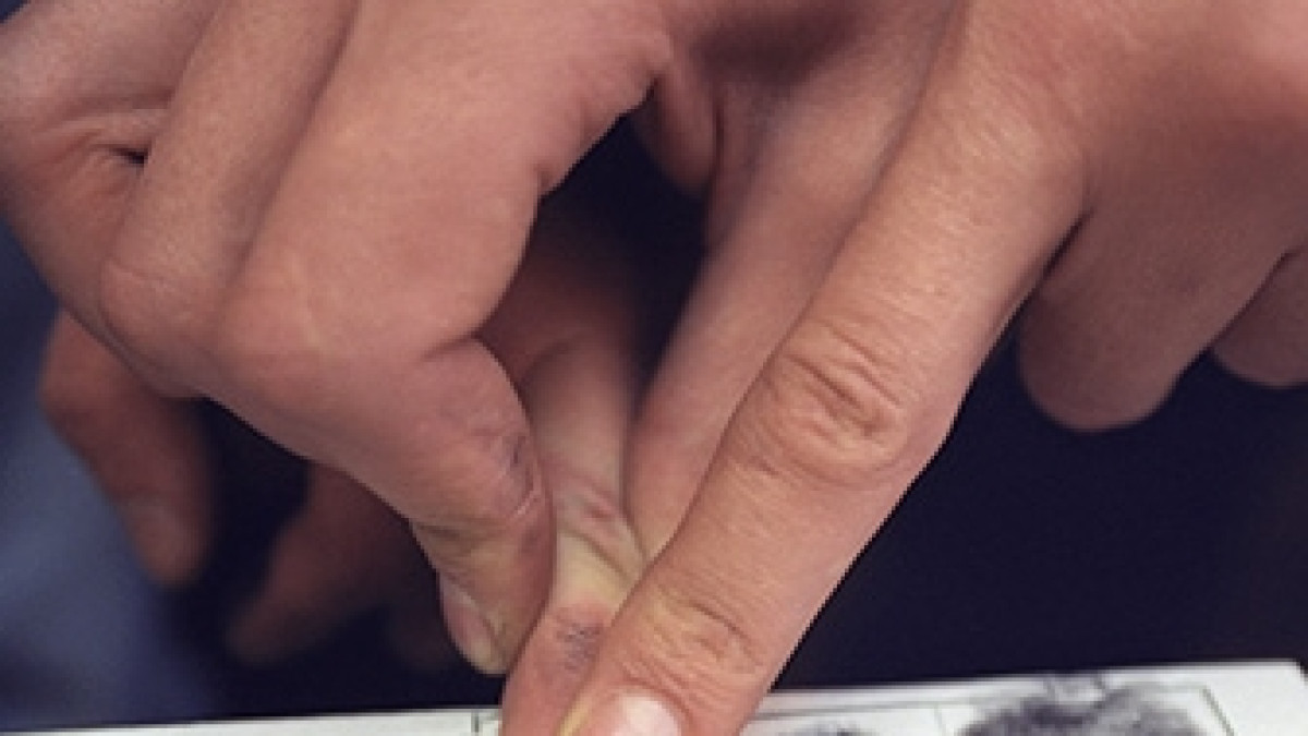 из открытых источников