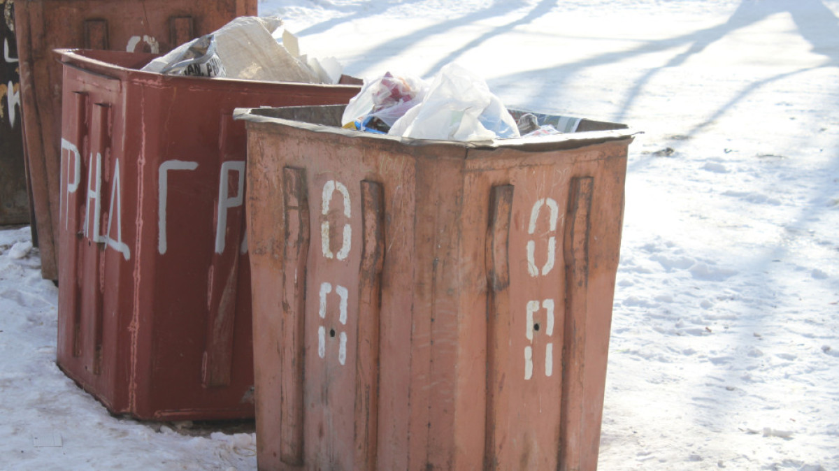 Анна Белобородова