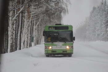 Фотография к новости: Бесплатный бензин выдали водителям, помогавшим жителям ВКО в лютые морозы