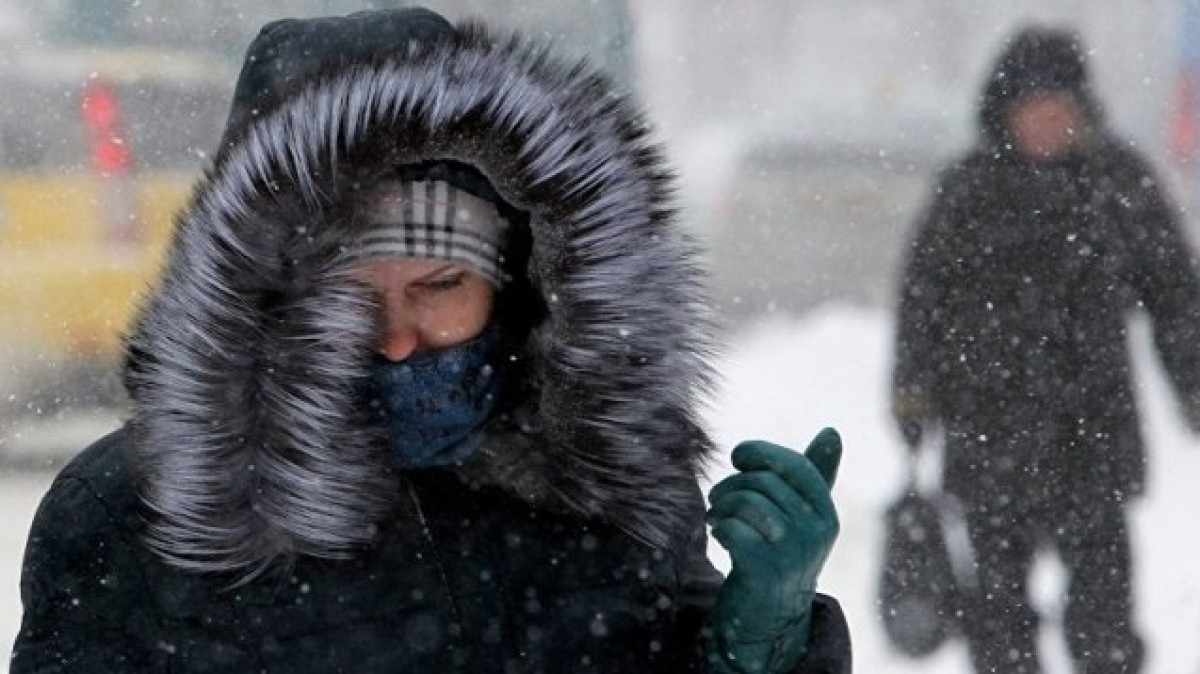 Из открытого источника 