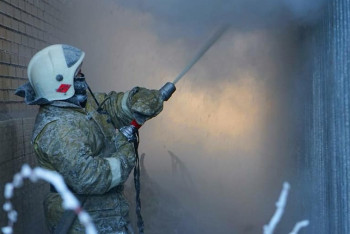 Около тысячи перепелок, кроликов и цыплят сгорели в особняке в Караганде