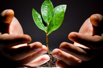 Фотография к новости: В экологическую безопасность страны вложено 33 млрд тенге