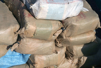 Фотография к новости: Две сумки марихуаны пытался перевезти в Россию житель Тараза