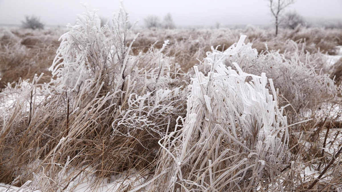 из открытого источника 