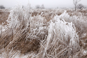 Фотография к новости: Костанайка едва не замерзла в степи после ссоры с парнем