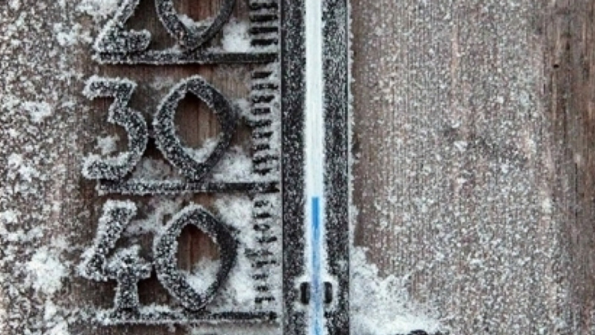 Из открытого источника 