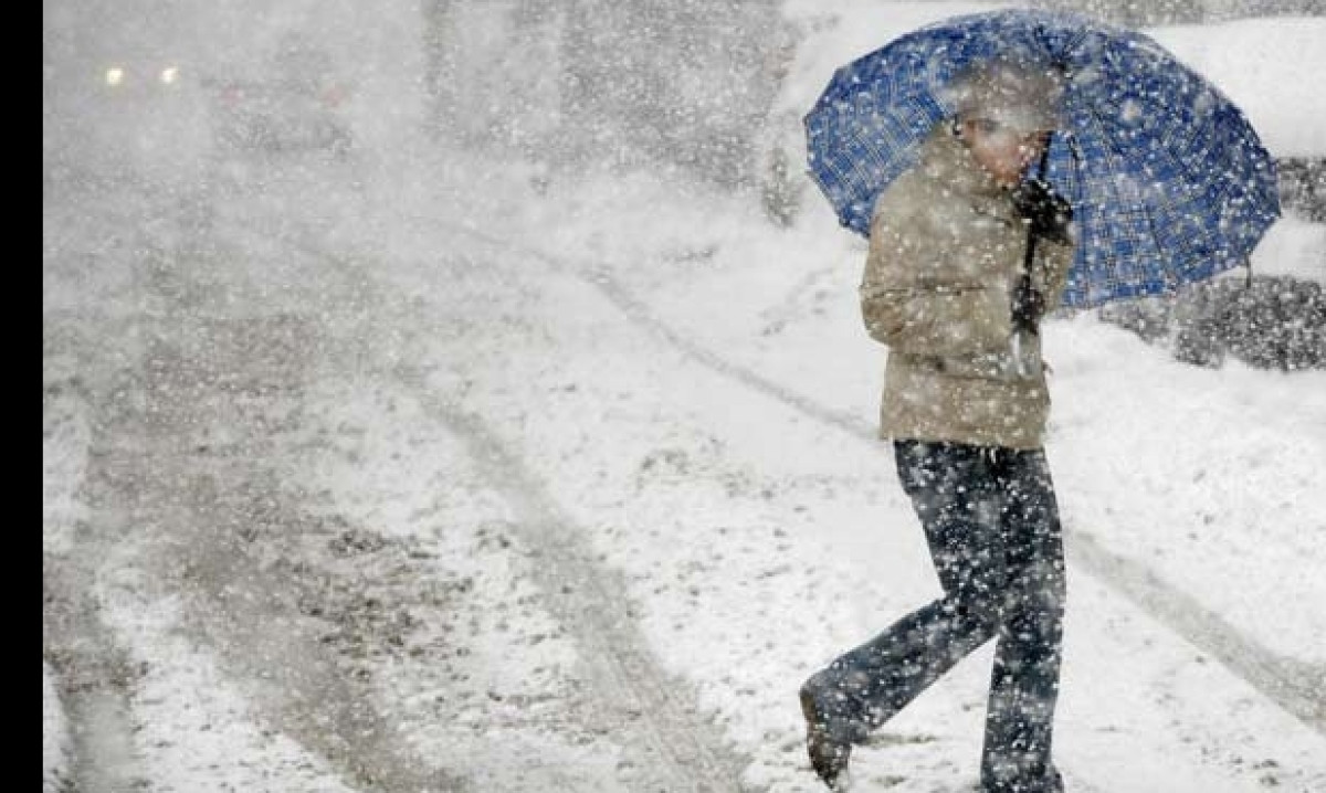 Иллюстративное фото 