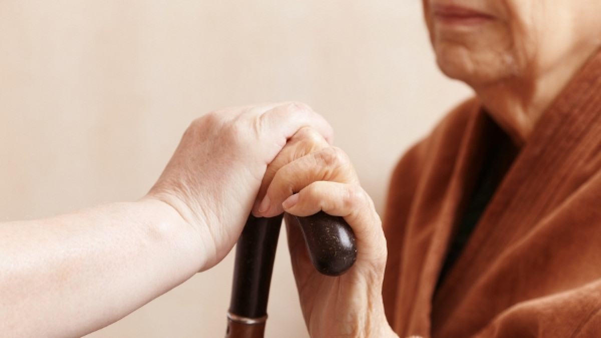 Из открытого источника 