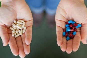 Фотография к новости: Пробиотик на основе бифидо и лактобактерии создан казахстанскими ученными