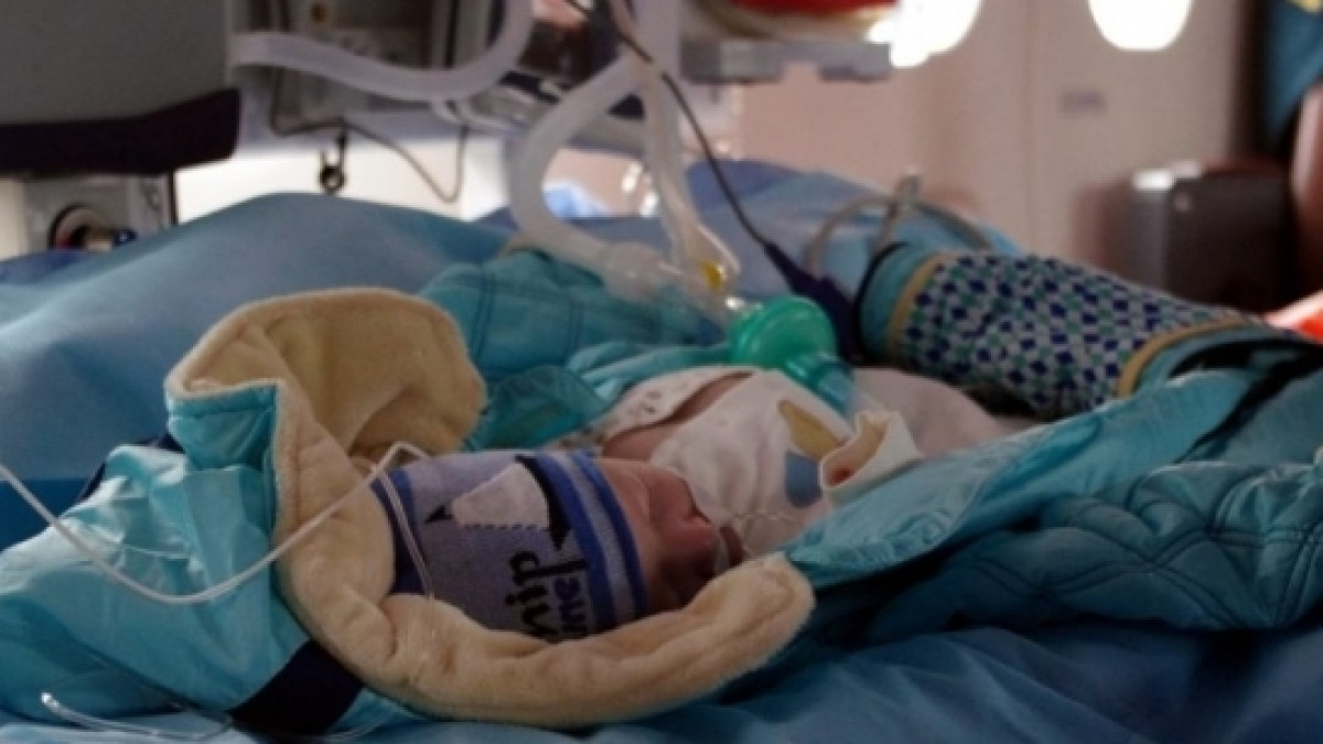 Из открытых источников